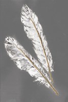 Gold Feathers III on Grey Fine Art Print