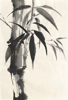 Sumi Bamboo Cream Fine Art Print