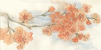 Peach Blossom III Fine Art Print