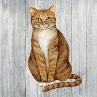 Country Kitty II on Wood Fine Art Print