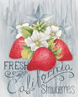 American Berries I Framed Print