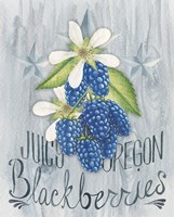 American Berries IV Framed Print