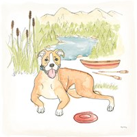 Dog Days of Summer Comet Fine Art Print