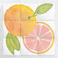 Citrus Tile VIII Framed Print