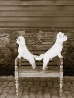 We are Ready Fine Art Print