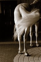 Swoosh Fine Art Print