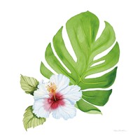 Treasures of the Tropics VIII Fine Art Print