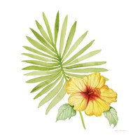 Treasures of the Tropics XI Fine Art Print