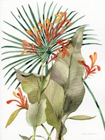 Botanical Flame Lilies Fine Art Print