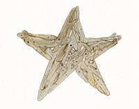 Coastal Holiday Ornament X Fine Art Print