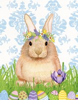 Spring Bunny I Fine Art Print