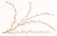 Spring Bunny Pussy Willow Fine Art Print