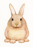 Spring Bunny I White Fine Art Print
