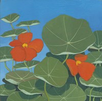 Happy Day I Fine Art Print