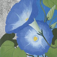 Morning Glorious I Silver Fine Art Print