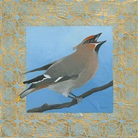 Cedar Waxwing Fine Art Print