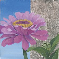 Zinnia Pink Fine Art Print