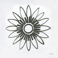 Patterns of the Amazon Icon X Fine Art Print