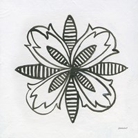 Patterns of the Amazon Icon XVI Fine Art Print