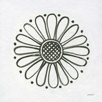 Patterns of the Amazon Icon XV Fine Art Print