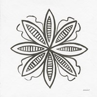 Patterns of the Amazon Icon I Framed Print