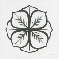 Patterns of the Amazon Icon II Fine Art Print