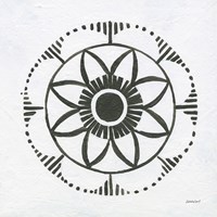 Patterns of the Amazon Icon VII Fine Art Print