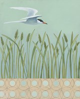 Free as a Bird I Border Fine Art Print