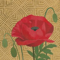 Poppy with Pattern Fine Art Print