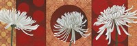Morning Chrysanthemums V Fine Art Print