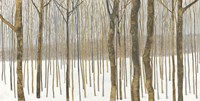 Woods in Winter Fine Art Print