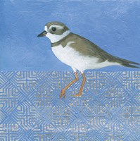 Plover Fine Art Print