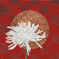 Morning Chrysanthemum IV Fine Art Print