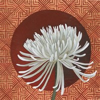 Morning Chrysanthemum III Fine Art Print