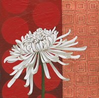 Morning Chrysanthemum II Framed Print