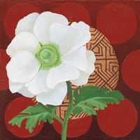 Morning Anemone Fine Art Print