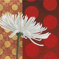 Morning Chrysanthemum I Framed Print