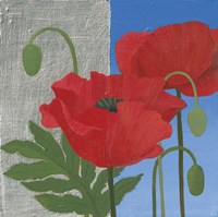 More Poppies Fine Art Print