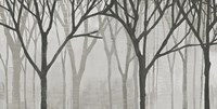 Spring Trees Greystone IV Fine Art Print