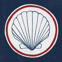 Summer Shells II Nautical Framed Print