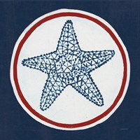 Summer Shells IV Nautical Fine Art Print