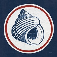 Summer Shells III Nautical Framed Print