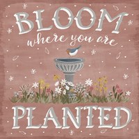 Blooming Garden VII Framed Print