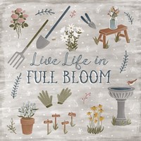 Blooming Garden I Framed Print