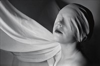 Hatch XII Fine Art Print