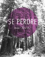 Wander Far and Wide French Fine Art Print