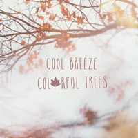 Autumn Calling II Framed Print