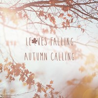 Autumn Calling I Fine Art Print