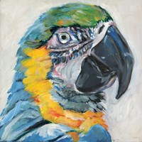 Parrot II Fine Art Print