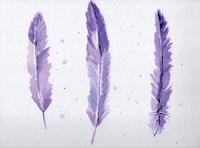 Lavender Feathers Fine Art Print